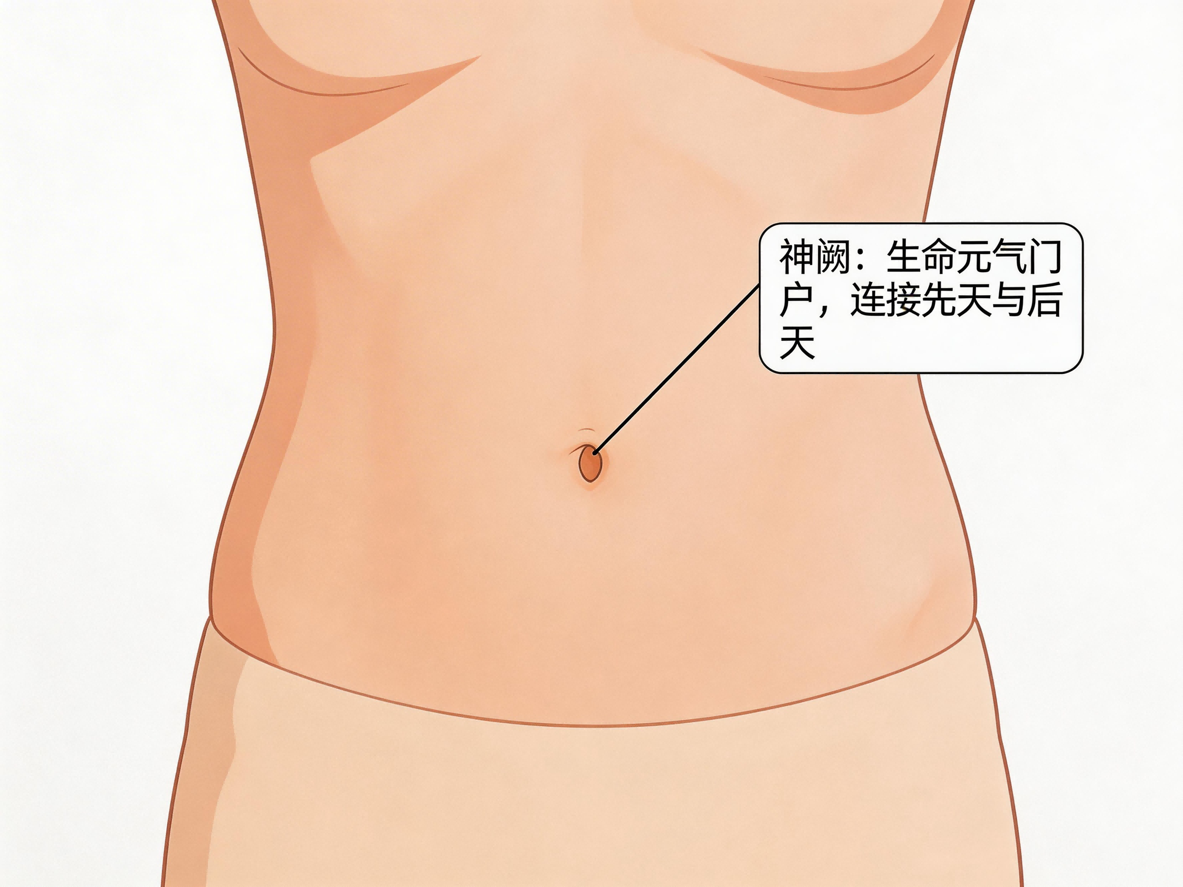脾胃虚弱，可能根源在肚脐，一套脐诊养脾术，激活身体自愈力